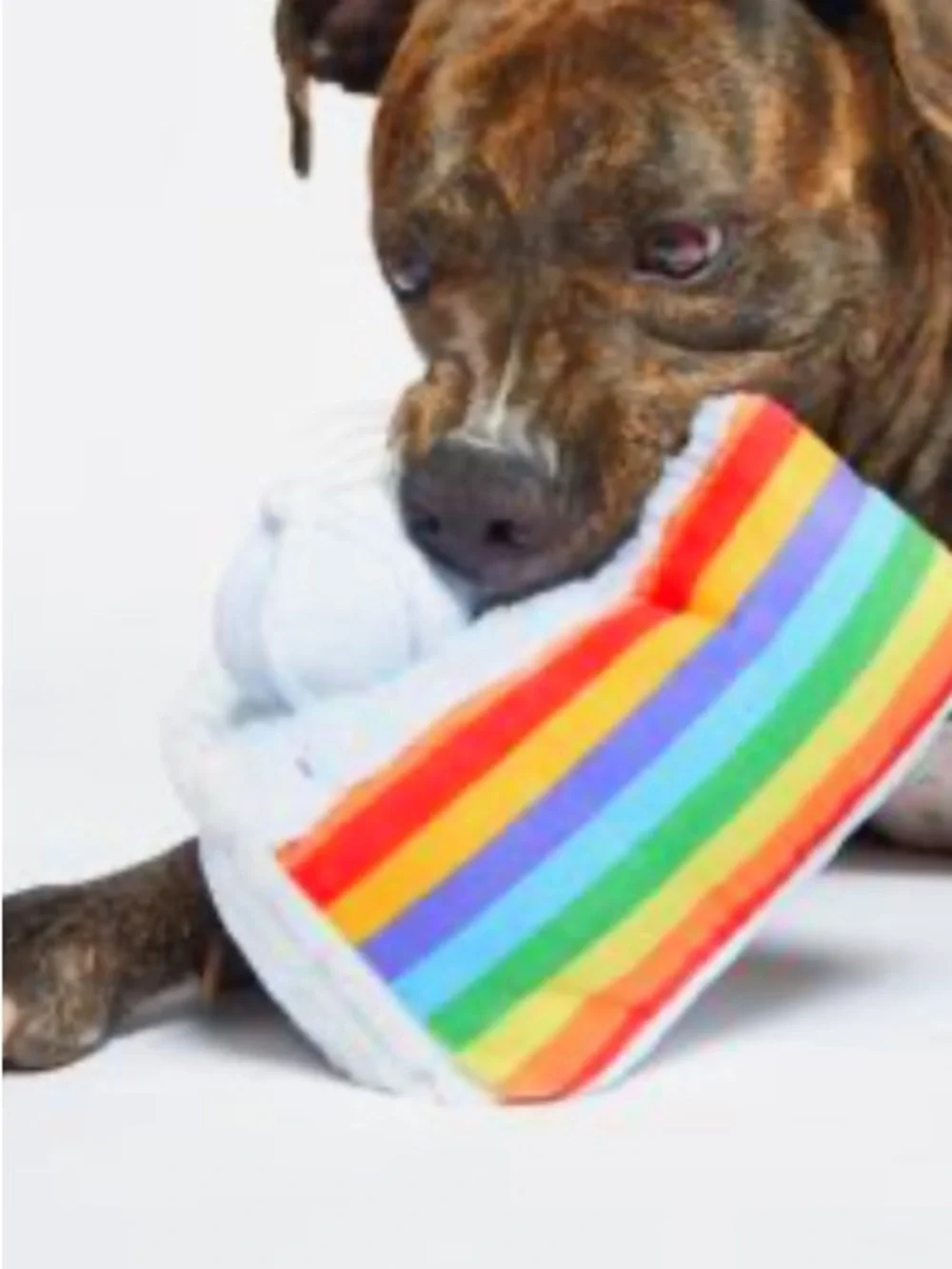 Bark Party! Animal ‘Peace Of Cake’ Large Plush Dog Toy